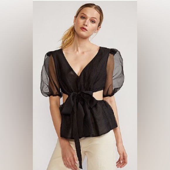Cynthia Rowley New With Tags Attached Gracie Organza Top in a Size Large - Picture 6 of 16